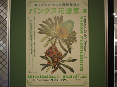 バンクス花譜集展.JPG