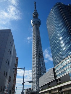 157.JPG