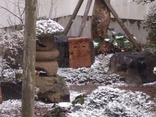 174.JPG