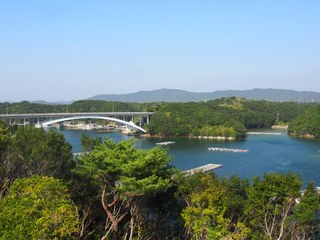207.JPG
