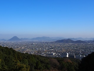 220.JPG