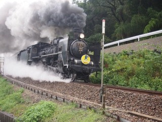 319.JPG