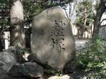 鎧塚.jpg