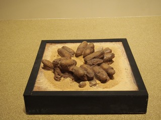 131.JPG