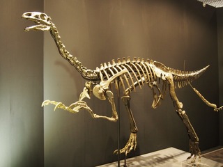138.JPG