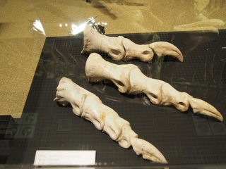 165.JPG