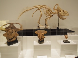 175.JPG