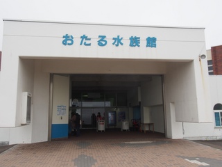 570.JPG
