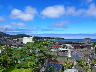 880.JPG