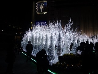 イルミネーション.jpg