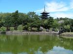 猿沢池と五重塔